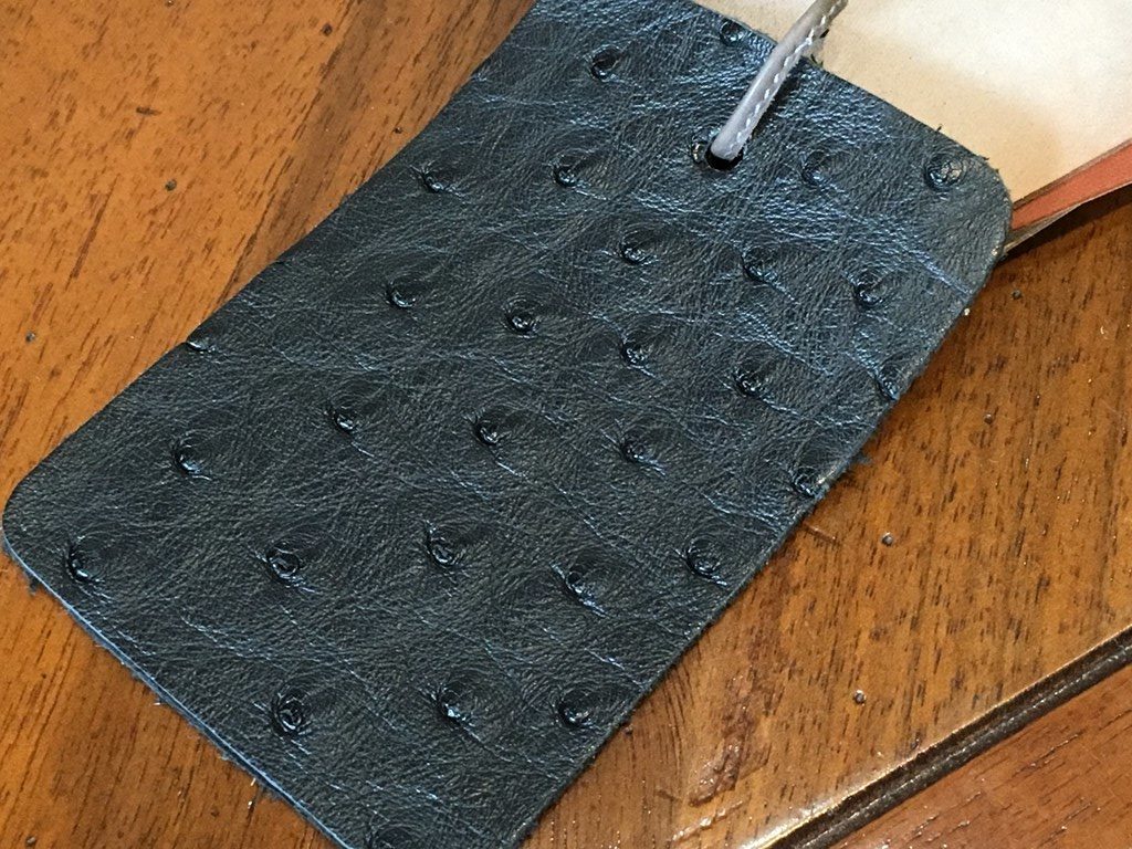 ostrich1